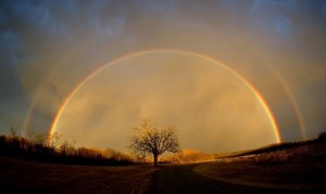 solitary_tree_under_rainbow